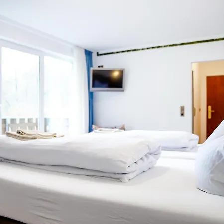 Smart B&b2 Bb2 317